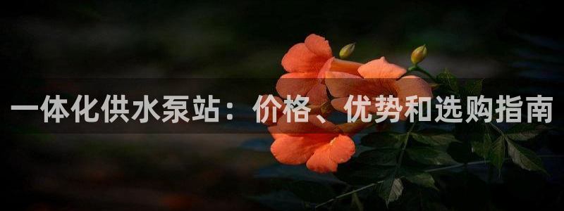 球友会英文怎么说呢翻译
