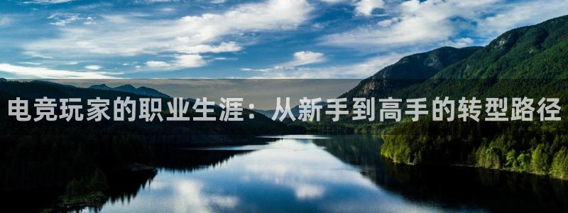 雷火电竞合法吗：电竞玩家的职业生涯：从新手到高手的转型路径